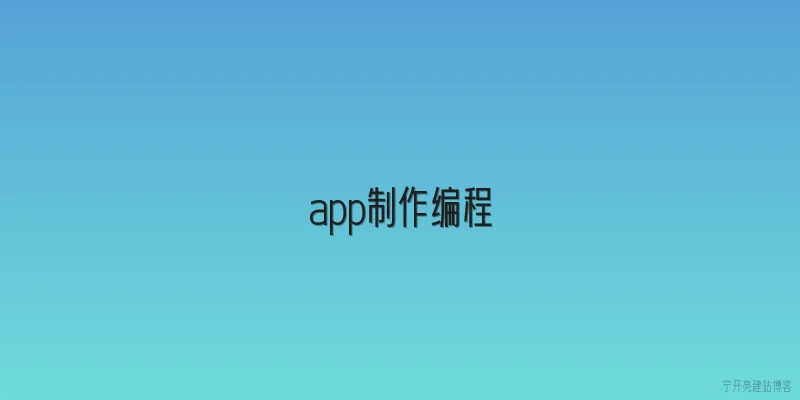app制作编程