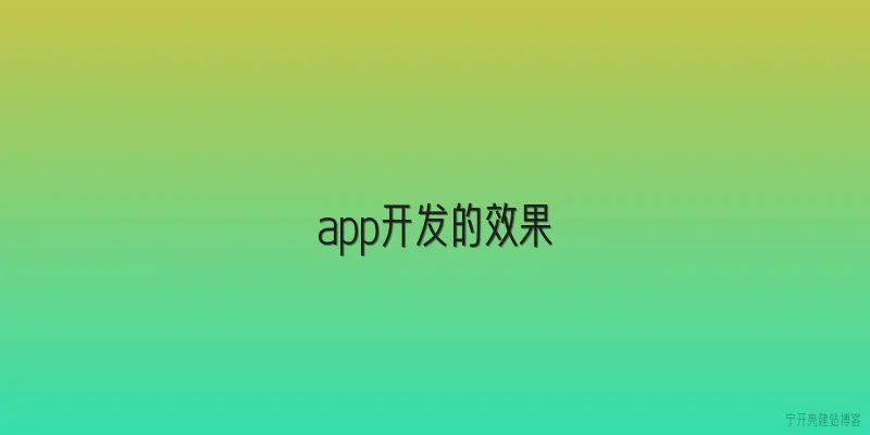 app开发的效果