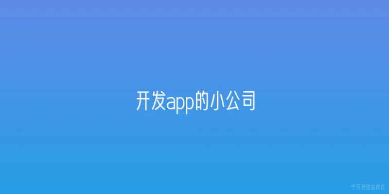 开发app的小公司