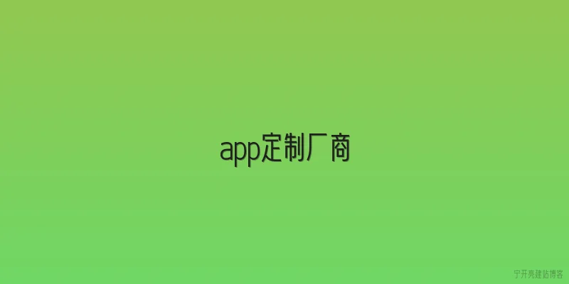 app定制厂商