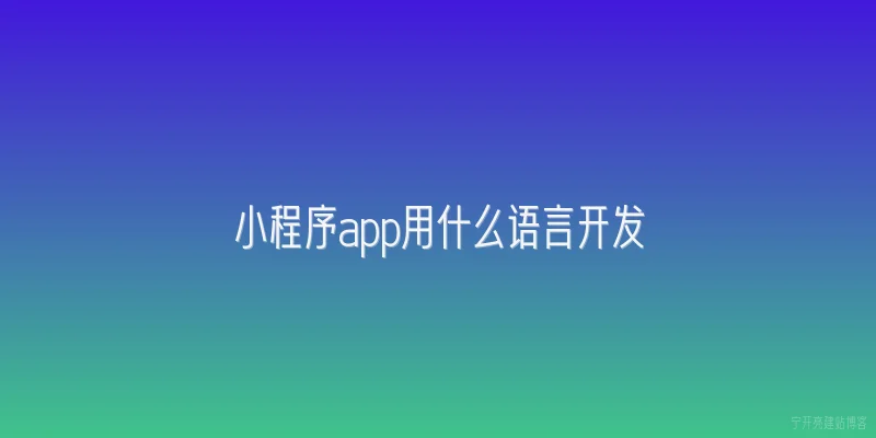 小程序app用什么语言开发