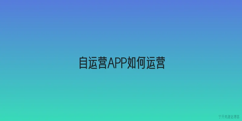 自运营APP如何运营