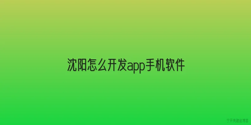 沈阳怎么开发app手机软件