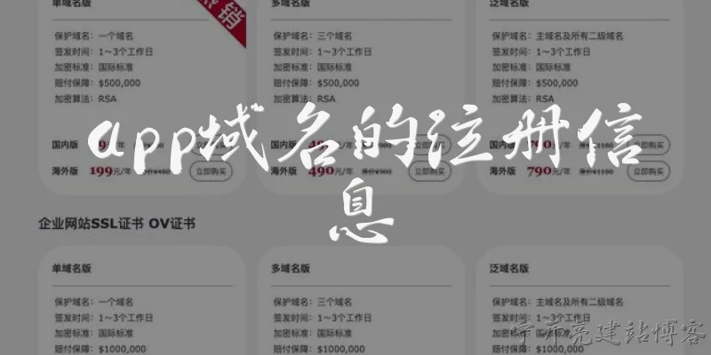 app域名的注册信息