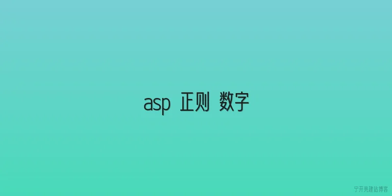 asp 正则 数字
