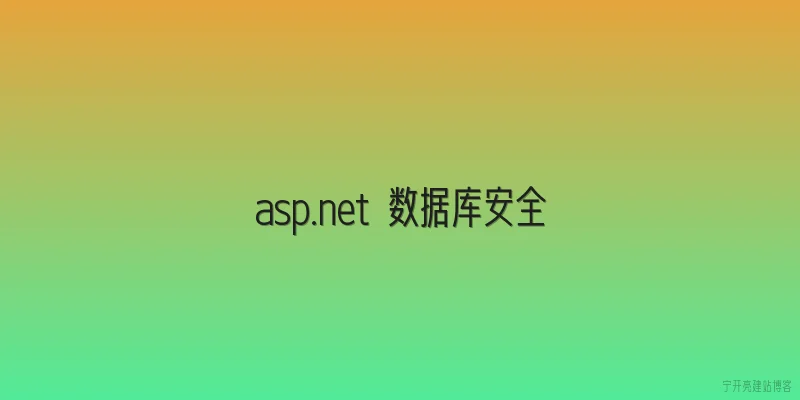 asp.net 数据库安全
