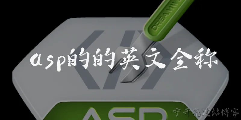 asp的的英文全称