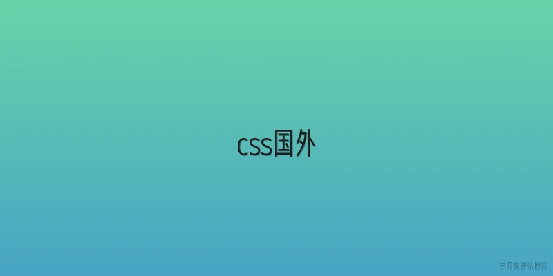 css国外