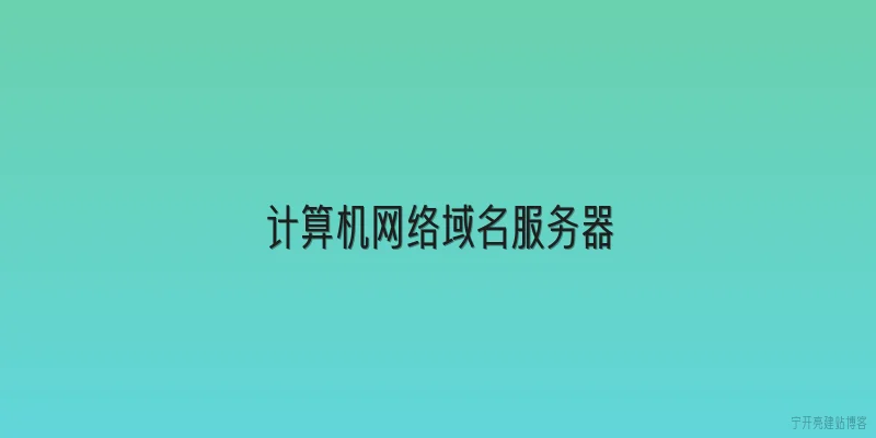 计算机网络域名服务器