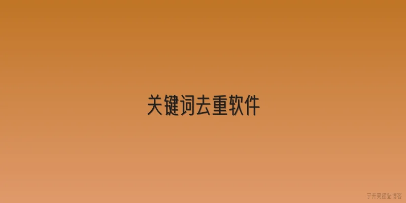 关键词去重软件