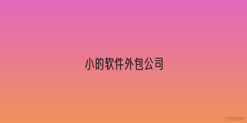 小的软件外包公司