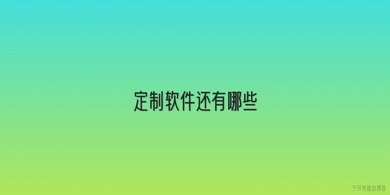 定制软件还有哪些