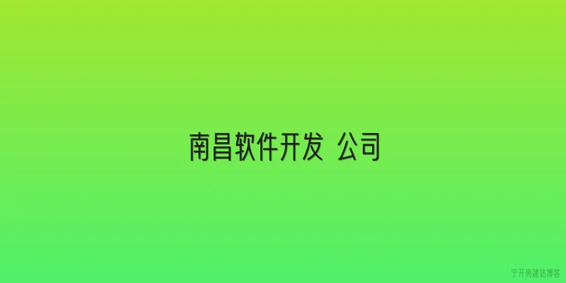 南昌软件开发 公司