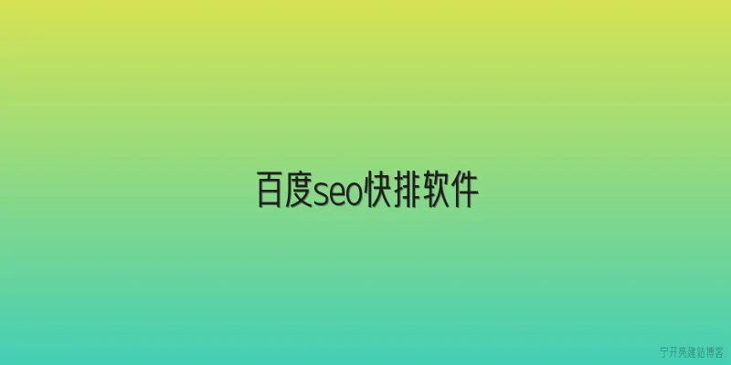 百度seo快排软件