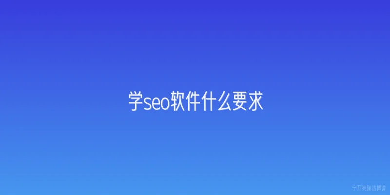 学seo软件什么要求