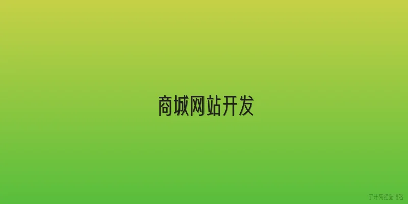 商城网站开发