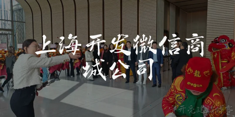 上海开发微信商城公司:2026年上海开发微信商城的公司有哪些值得推荐？