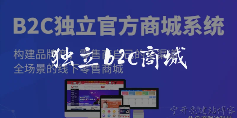 独立b2c商城
