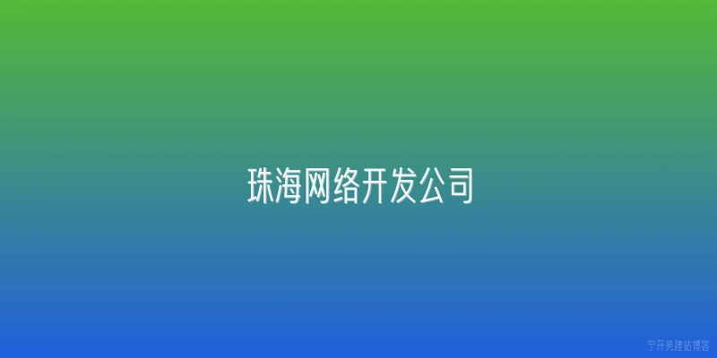 珠海网络开发公司