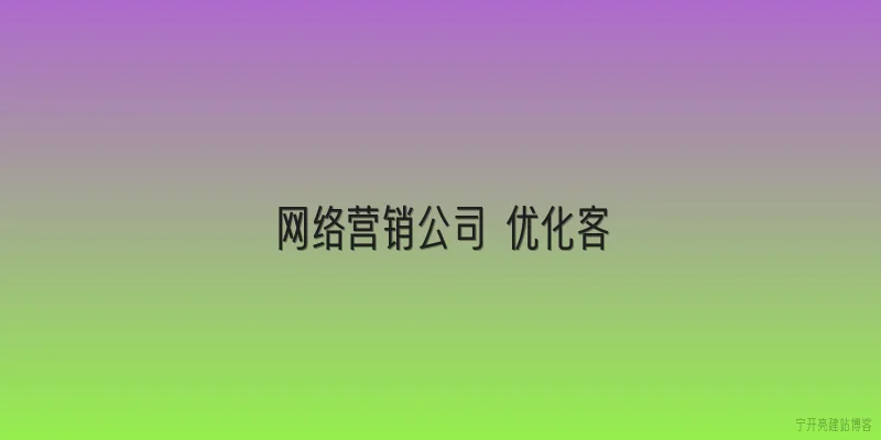 网络营销公司 优化客