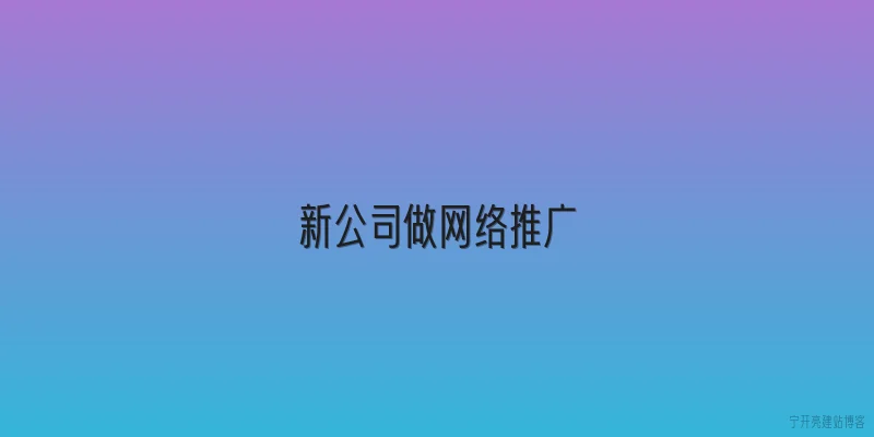 新公司做网络推广