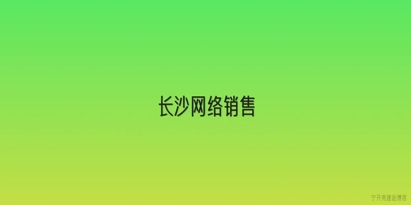 长沙网络销售