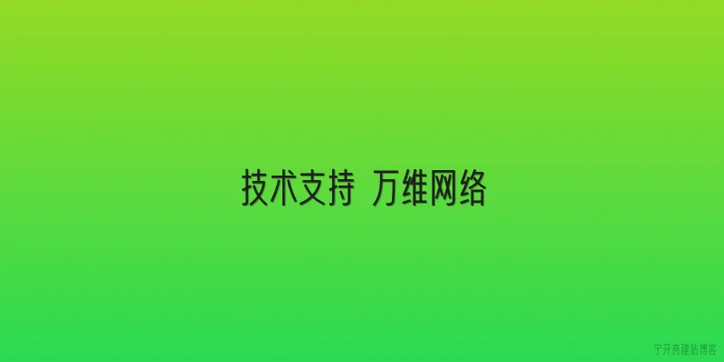 技术支持 万维网络