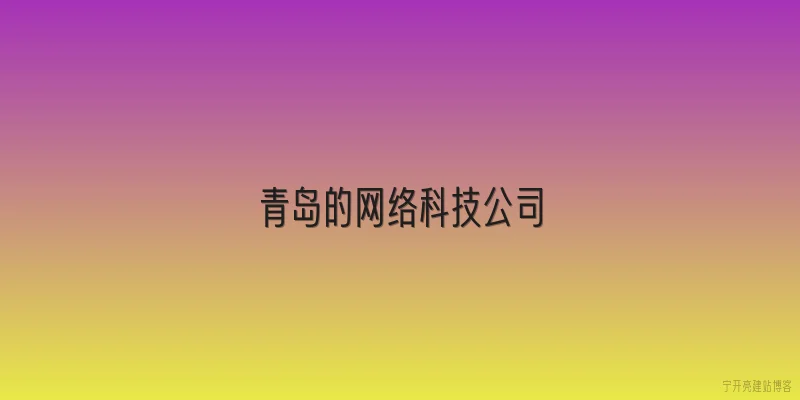青岛的网络科技公司