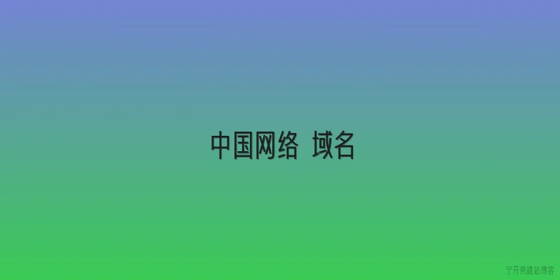中国网络 域名