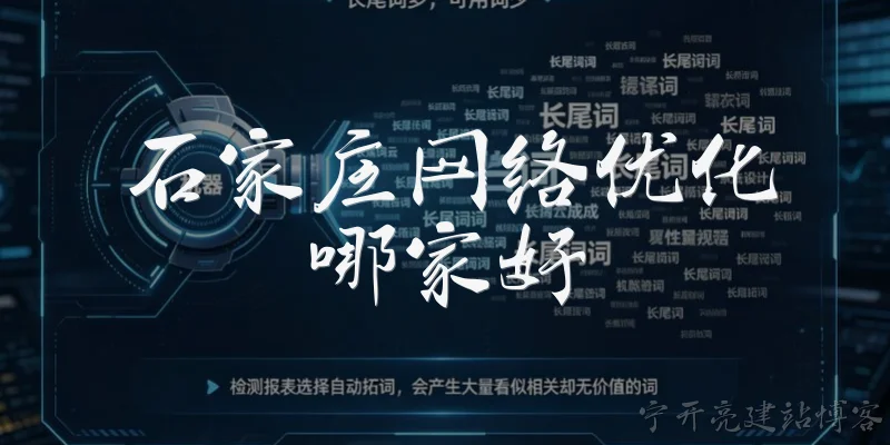Which company is best for network optimization in Shijiazhuang