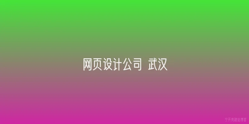 网页设计公司 武汉