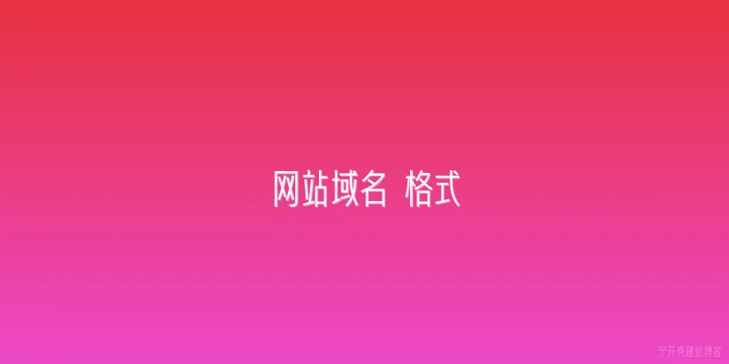 网站域名 格式