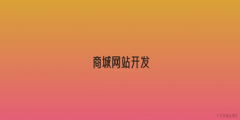 商城网站开发
