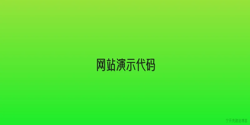 网站演示代码