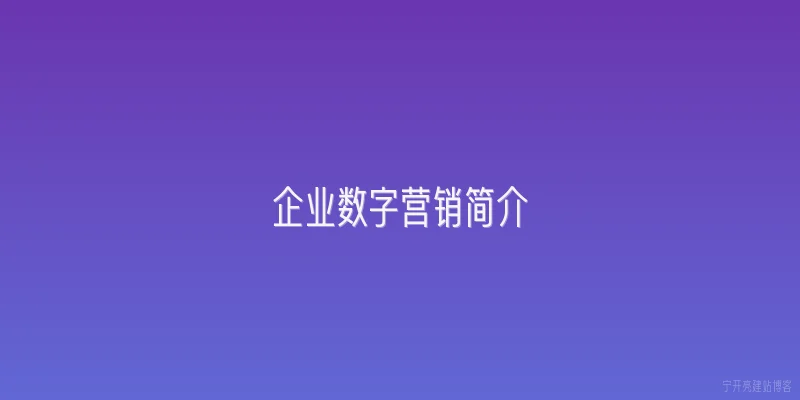 企业数字营销简介