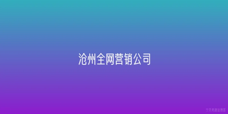 沧州全网营销公司