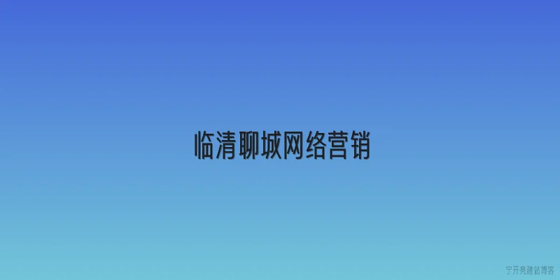 临清聊城网络营销