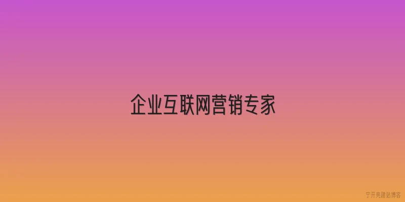 企业互联网营销专家