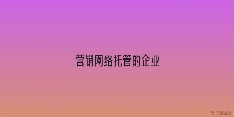 营销网络托管的企业