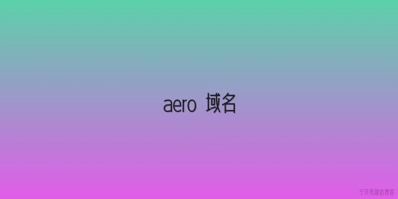 aero 域名